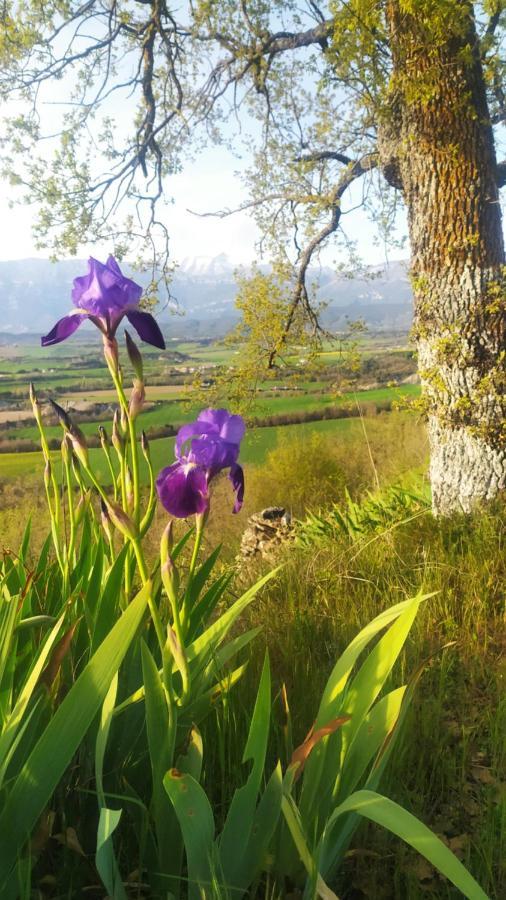 Casa Rural Tejedor Morillo de Monclus Екстер'єр фото